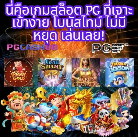 pg wallet999