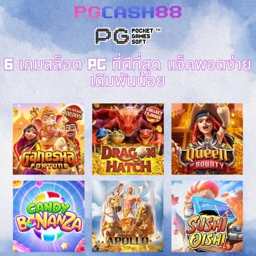 pg wallet999